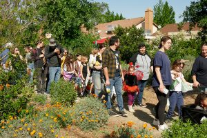 LaLoma Neighborhood | Native Plant Garden