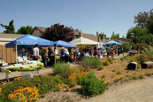 LaLoma Neighborhood | Native Plant Garden