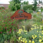 LaLoma Neighborhood | Native Plant Garden