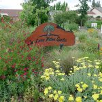 LaLoma Neighborhood | Native Plant Garden