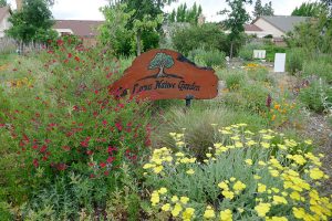 LaLoma Neighborhood | Native Plant Garden