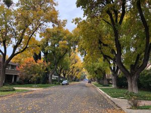 John Muir Park Community