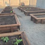 Salvation Army Garden