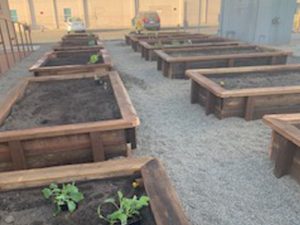 Salvation Army Garden